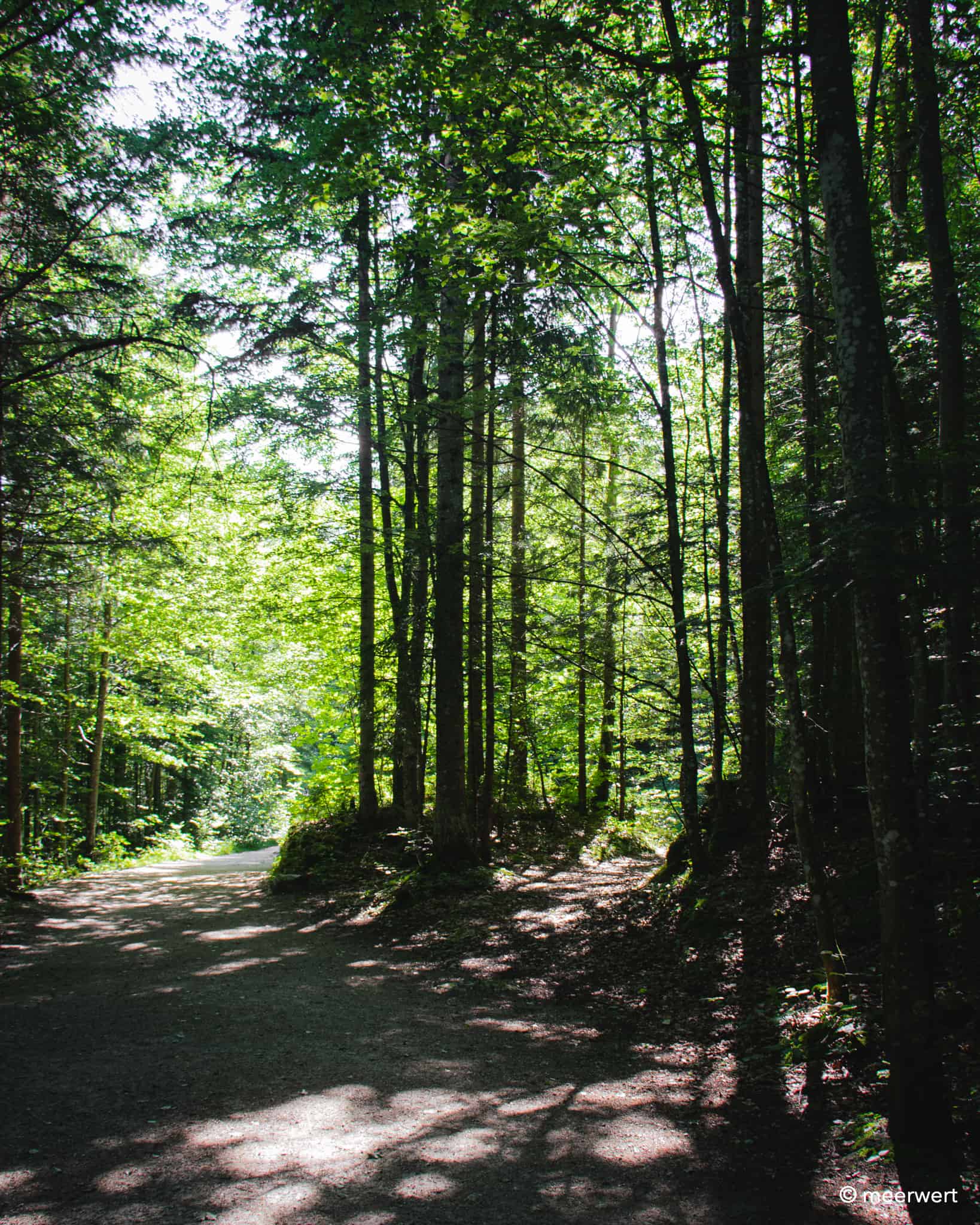 Leutaschklamm Pfad