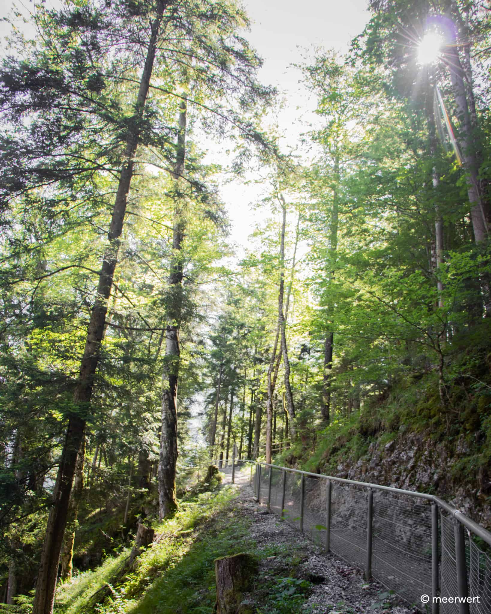 Leutaschklamm Waldweg